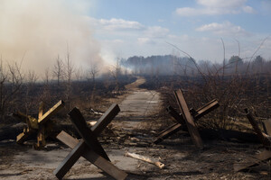 На Херсонщине россияне уничтожают Олешковский лес – Хлань