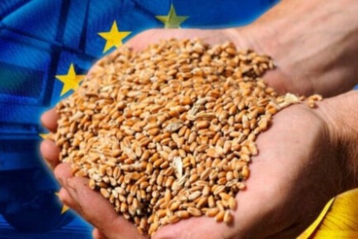 Заборону знято: Єврокомісія узгодила з п'ятьма країнами імпорт української агропродукції