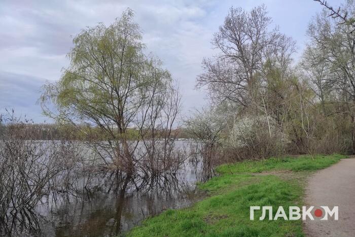 Заморозки та дощі: прогноз погоди в Україні на 29 квітня