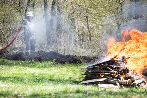 Фахівці закликають відмовитися від відвідувань зелених зон поза межами житлових масивів