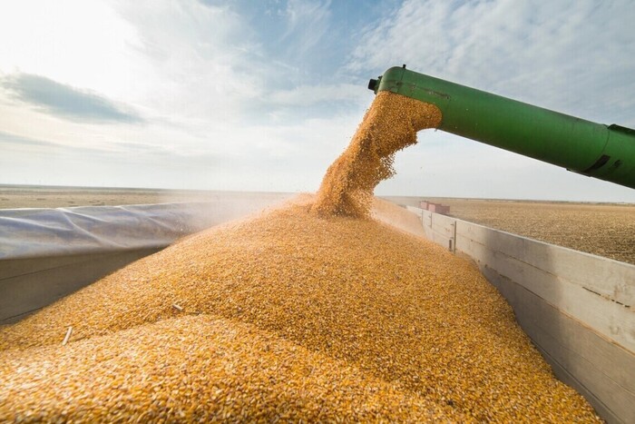 Молдова може ввести обмеження на імпорт зернових та олійних культур з України