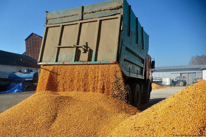 Міністр агрополітики назвав наслідки заборони ЄС на експорт агропродукції