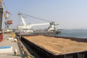 Наразі в українських портах знаходяться 14 суден з близько 600 тис. тонн зерна 