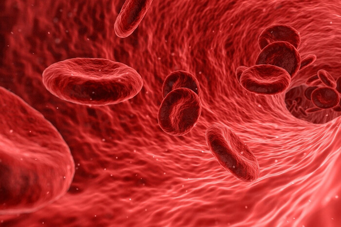 Ученые выяснили, какие группы крови наиболее подвержены раку и сердечным заболеваниям