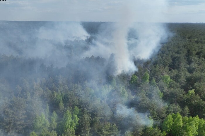 Масштабна пожежа під Києвом: з’явилися кадри з висоти пташиного польоту