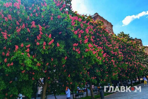 Во многих областях пройдут осадки