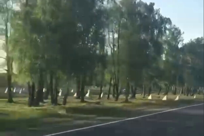 Білорусь встановила «зуби дракона» поблизу кордону з Україною. З’явилося відео