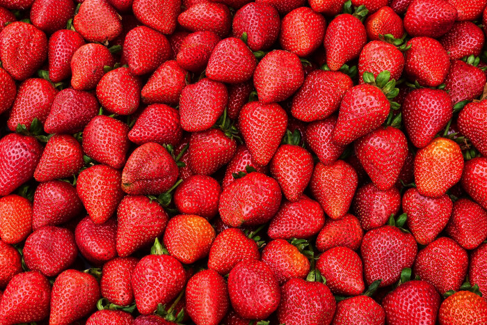 La saison des fraises est ouverte : quels sont les prix actuels de la baie