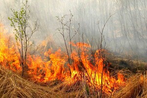 Українців попередили про пожежну небезпеку