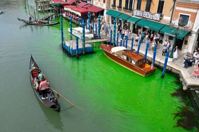 Вода у Гранд-каналі Венеції стала зеленою: поліція розпочала розслідування