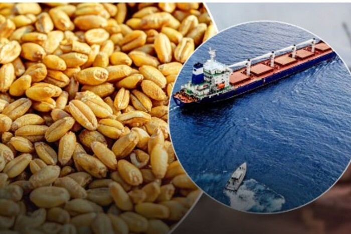 У Росії знову залякують можливим скасуванням «зернової угоди»