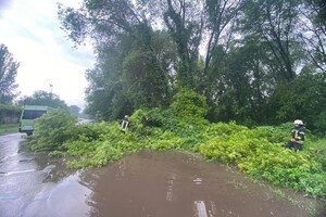 У Запоріжжі потоп: за п’ять годин випала двомісячна норма опадів (фото, відео)
