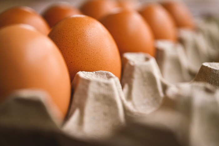 Яйцо по 17 грн? Ревизоры впервые официально озвучили результаты проверки Минобороны