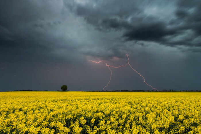 Частину України очікують грози та дощі: прогноз погоди на 6 червня