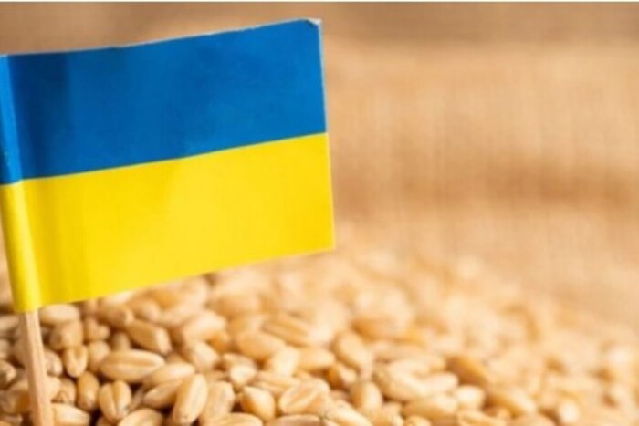 Єврокомісія змінила рішення щодо імпорту українського зерна
