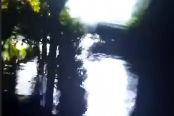 Підрив ГЕС. У Новій Каховці затопило зоопарк (відео)