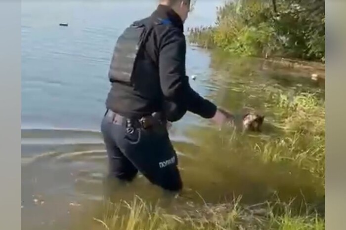 Поліцейський показав порятунок собаки із водяної пастки на Херсонщині (відео)