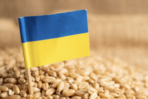 Еврокомиссия изменила решение по импорту украинского зерна