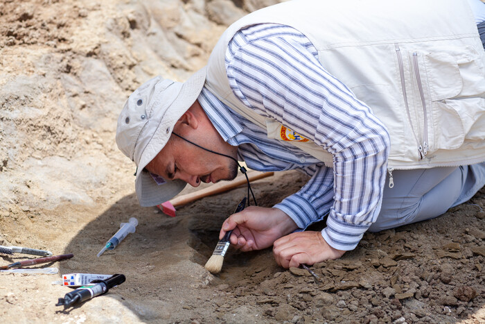 Палеонтологи знайшли у Туреччині залишки тварини віком 28 млн років (фото)