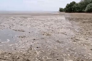 Міністерство охорони здоров’я закликає не вживати рибу, яка загинула через падіння рівня води внаслідок підриву Каховської ГЕС