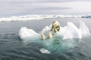 Зникнення морського льоду з Арктики: вчені передбачають нові кліматичні моделі на планеті