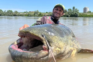В Италии рыбак установил рекорд, поймав самого большого сома в мире (фото)