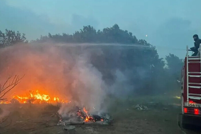 У Казахстані розгорілись масштабні лісові пожежі: є загиблі