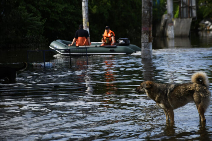 Уровень воды в затопленных населенных пунктах Херсонщины опустился еще на 64 см – глава ОВА