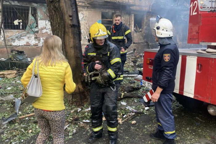 У Кривому Розі рятувальники з-під завалів дістали кота: зворушливе відео
