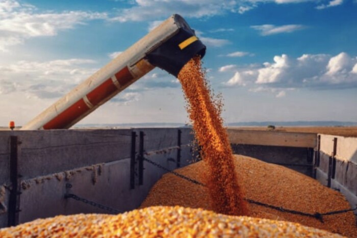 Президент пояснив, чому Росія блокує «зернову ініціативу»