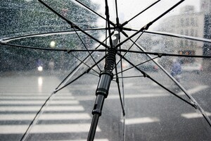 У низці областей – дощі і грози: прогноз погоди на 17 червня