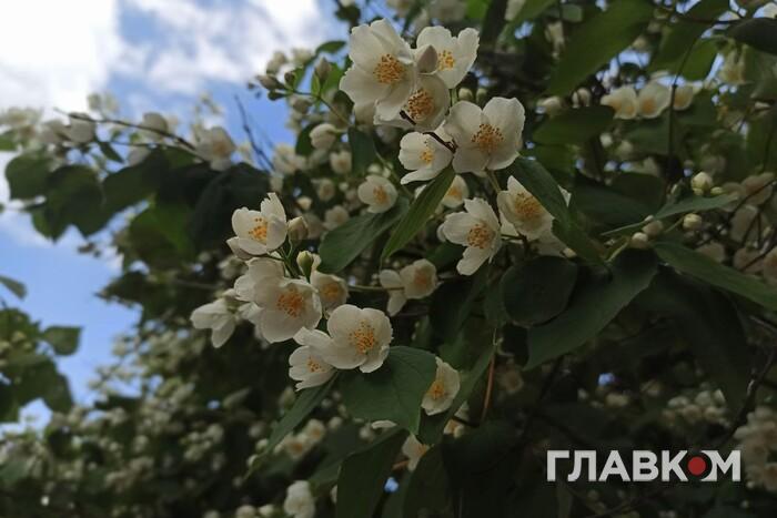 Спека, місцями дощі та грози: прогноз погоди на 18 червня