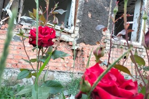 Троянди, бур'яни та руїни: фоторепортаж із деокупованого села на Донеччині 