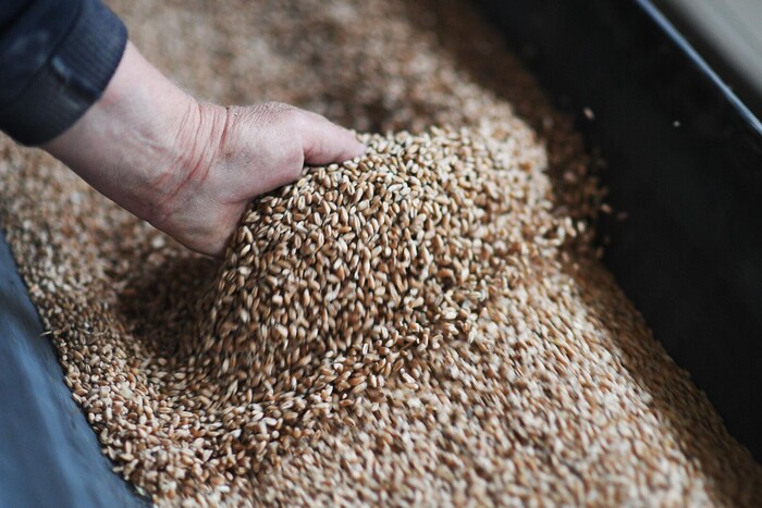 Росія майже стовідсотково вийде із зернової угоди в липні – МЗС
