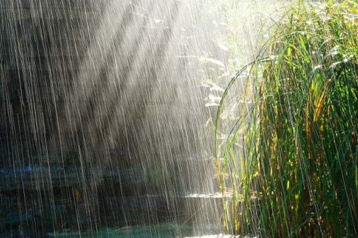 Місцями будуть дощі та грози: прогноз погоди на 23 червня
