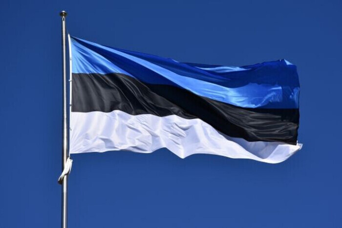 Эстония ужесточает штрафы за использование русского языка в школах