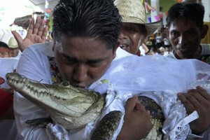 Одруження з крокодилом: мер міста здійснив стародавній ритуал