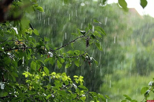 Місцями дощі з грозами: прогноз погоди на 4 липня