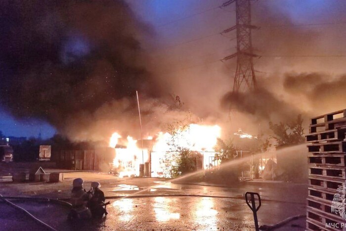 У Єкатеринбурзі спалахнула масштабна пожежа поблизу ліній електропередач (фото, відео)
