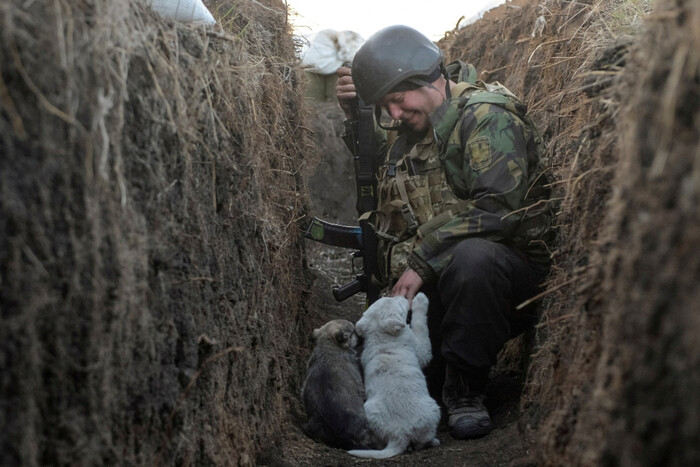 «Плевок в лицо украинским военным»: Bild о позиции НАТО