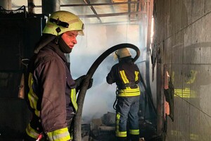 Горіли гриби: рятувальники ліквідували масштабну пожежу на Київщині