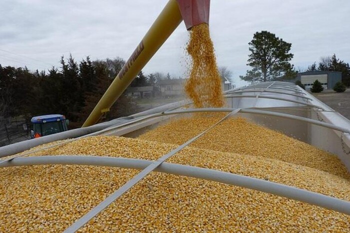 П’ять країн ЄС хочуть продовжити заборону на імпорт українського зерна