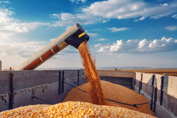 Британская разведка назвала вероятную причину выхода РФ из «зернового соглашения»