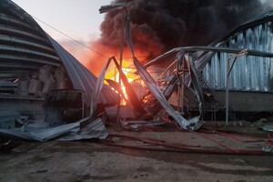 Атака на Одещину: ЗСУ показали зруйновані зерносховища (фото)