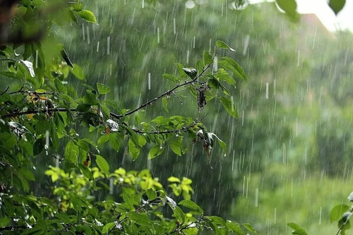 Місцями дощі з грозами: прогноз погоди на 23 липня