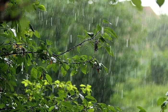 Местами дожди с грозами: прогноз погоды на 23 июля