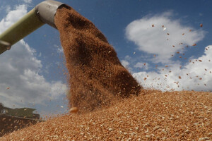 Як вихід Росії з зернової угоди вплине на ціни: прогноз МВФ