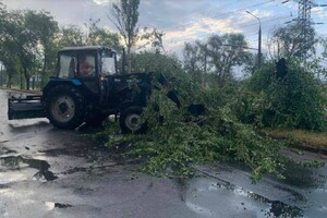 Повалені дерева, обірвані електричні дроти та град: фото наслідків негоди у Запоріжжі та Дніпрі 