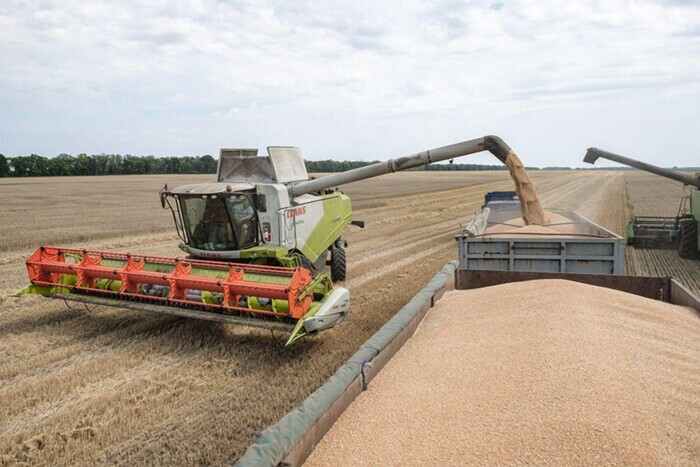 В Мелитопольском районе оккупанты прямо с полей вывозят зерно в Крым