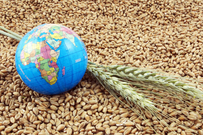Голова зернової асоціації про блокування експорту: За продовольчу інфляцію заплатять усі
